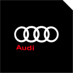 AUDI 1#